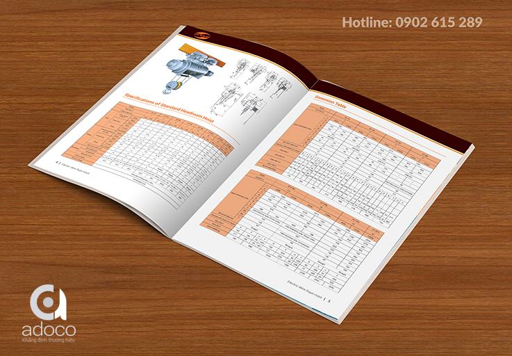 Thiết kế catalogue công ty Dinh Nguyen